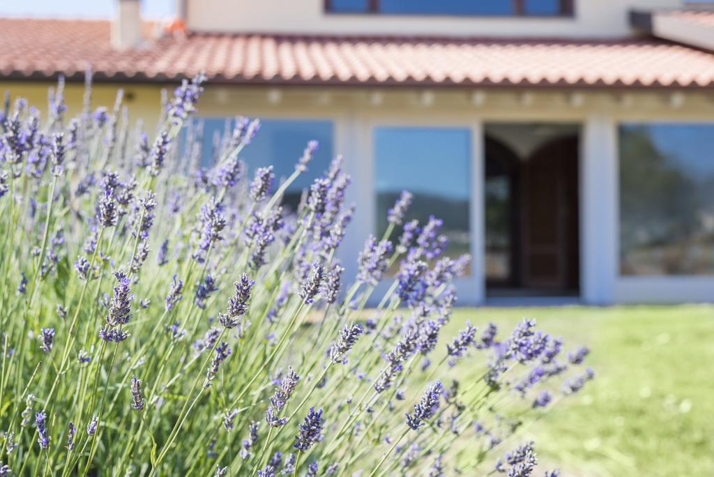 Agriturismo Terre Di Castiglione 卡斯蒂里昂纳·德拉佩 外观 照片