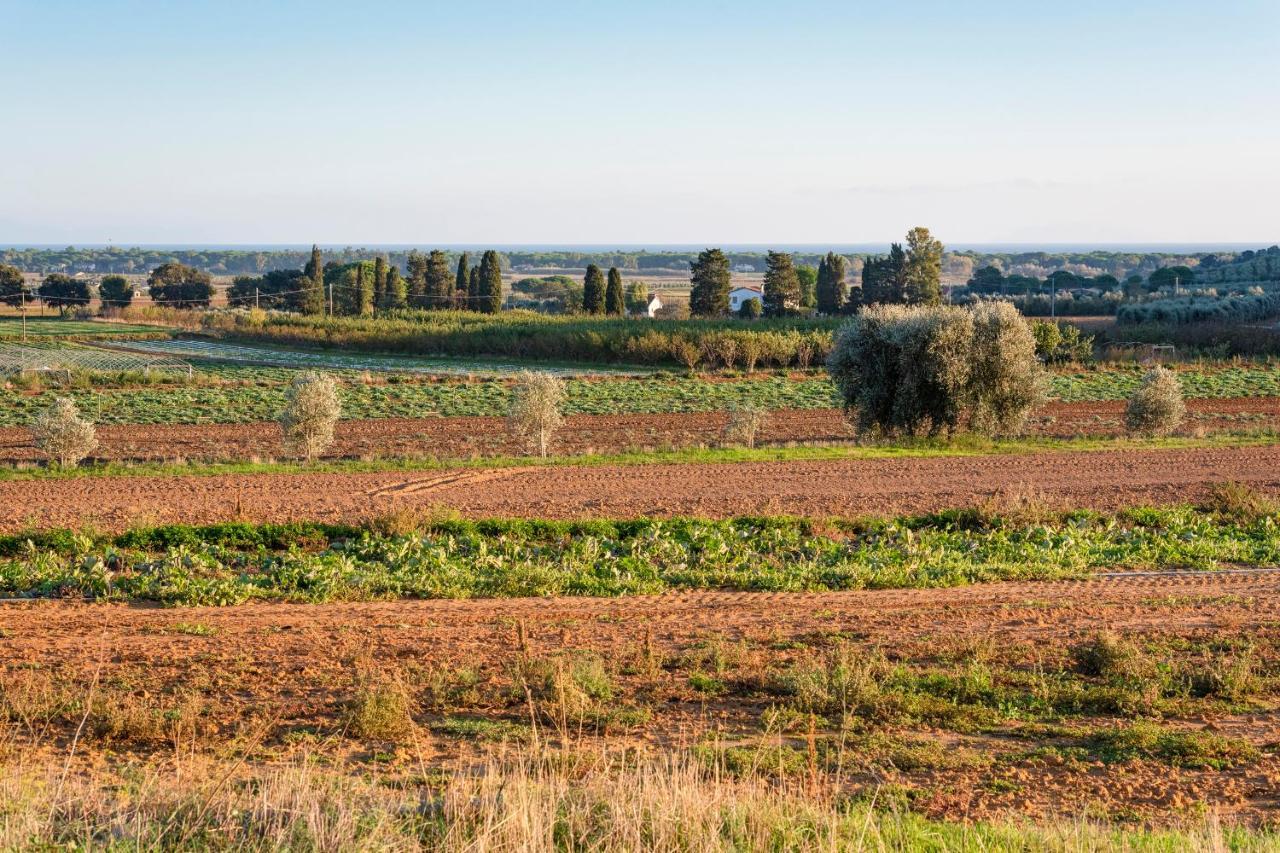 Agriturismo Terre Di Castiglione 卡斯蒂里昂纳·德拉佩 外观 照片