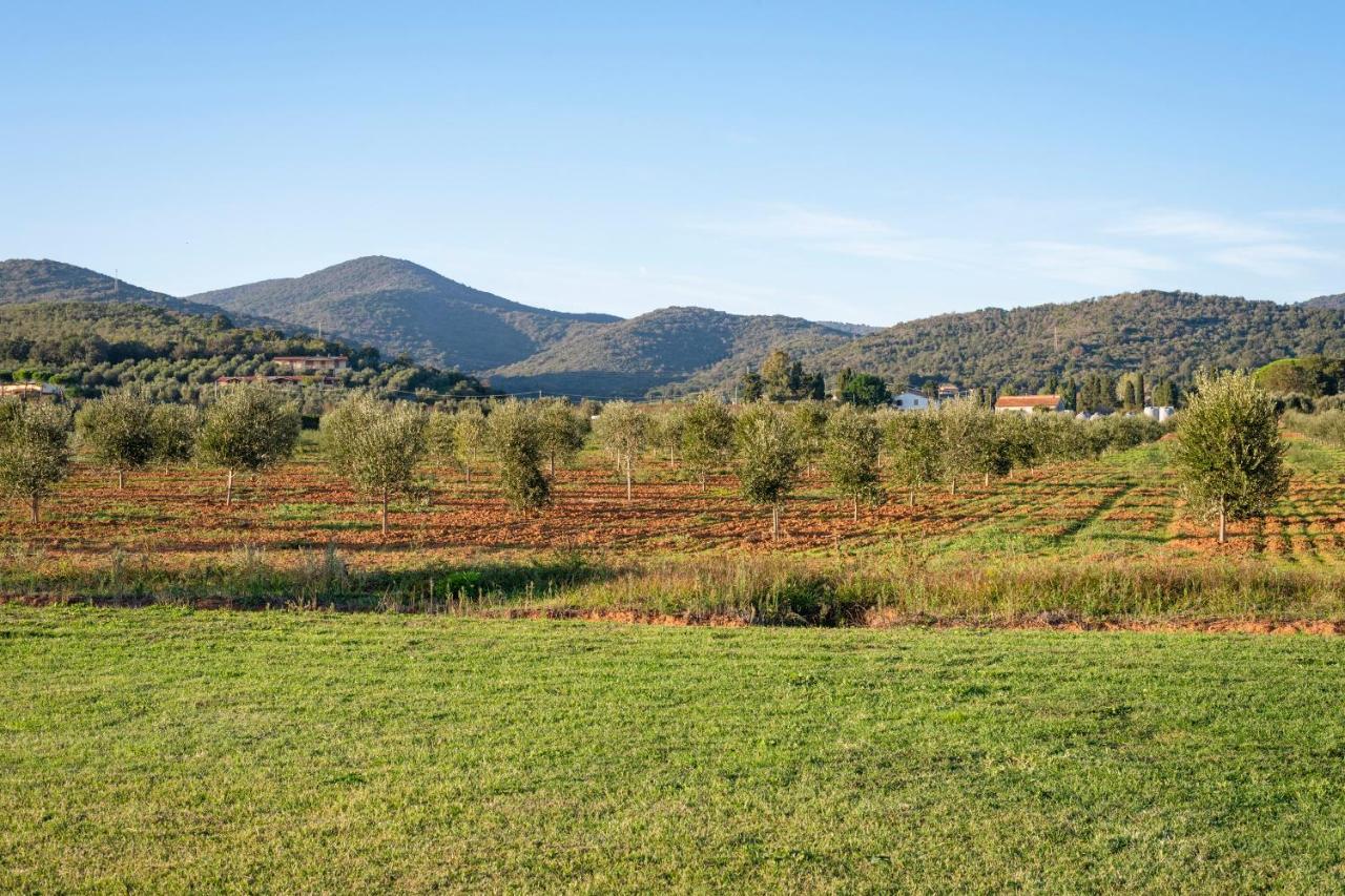 Agriturismo Terre Di Castiglione 卡斯蒂里昂纳·德拉佩 外观 照片