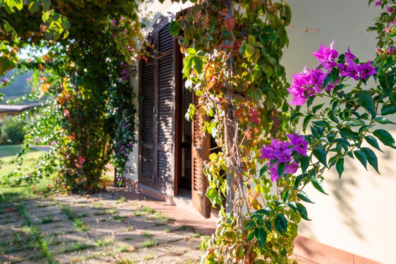 Agriturismo Terre Di Castiglione 卡斯蒂里昂纳·德拉佩 外观 照片