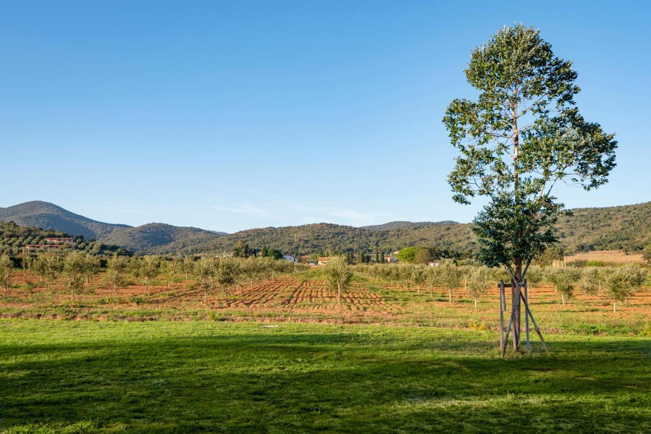 Agriturismo Terre Di Castiglione 卡斯蒂里昂纳·德拉佩 外观 照片