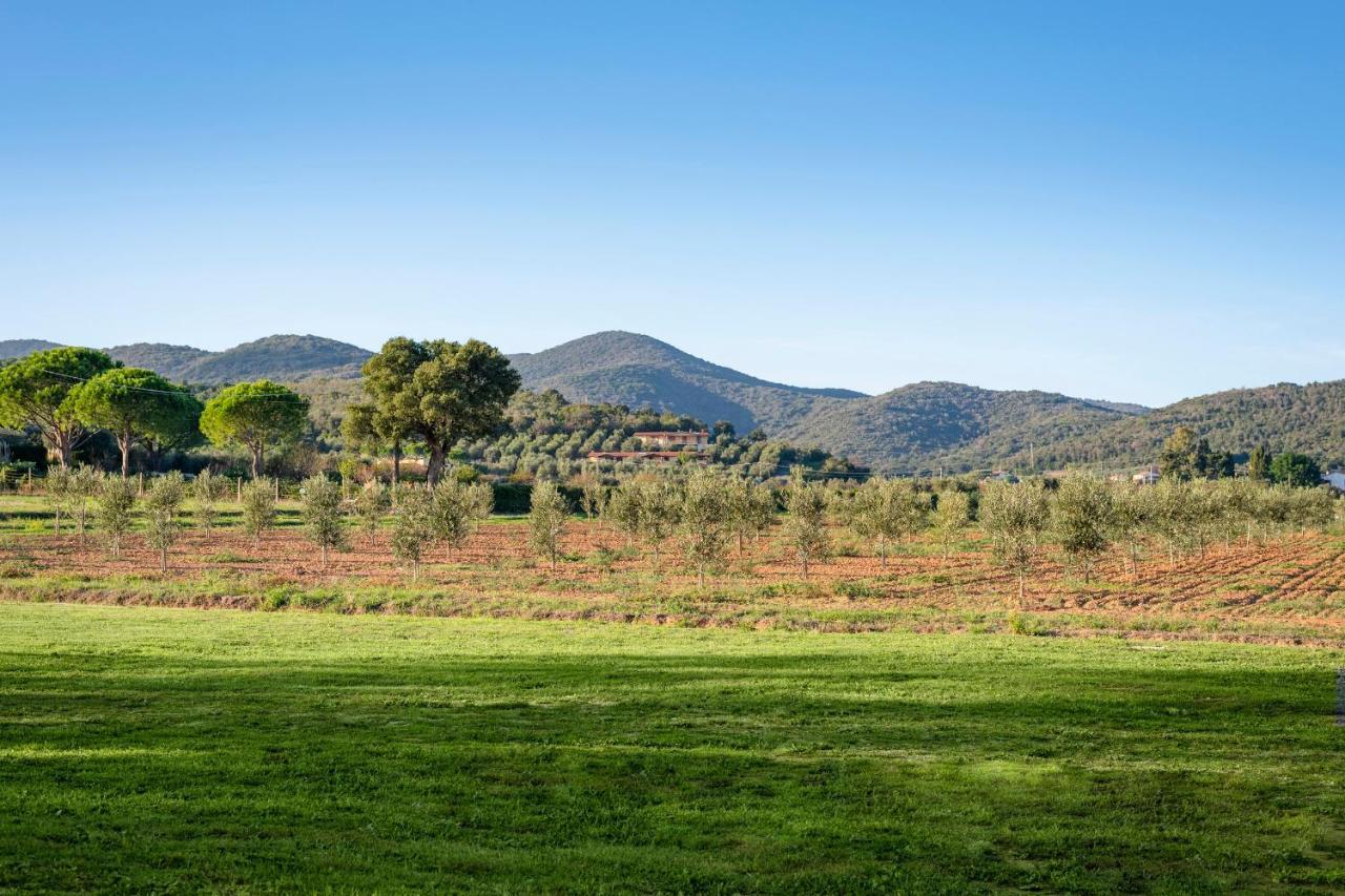 Agriturismo Terre Di Castiglione 卡斯蒂里昂纳·德拉佩 外观 照片