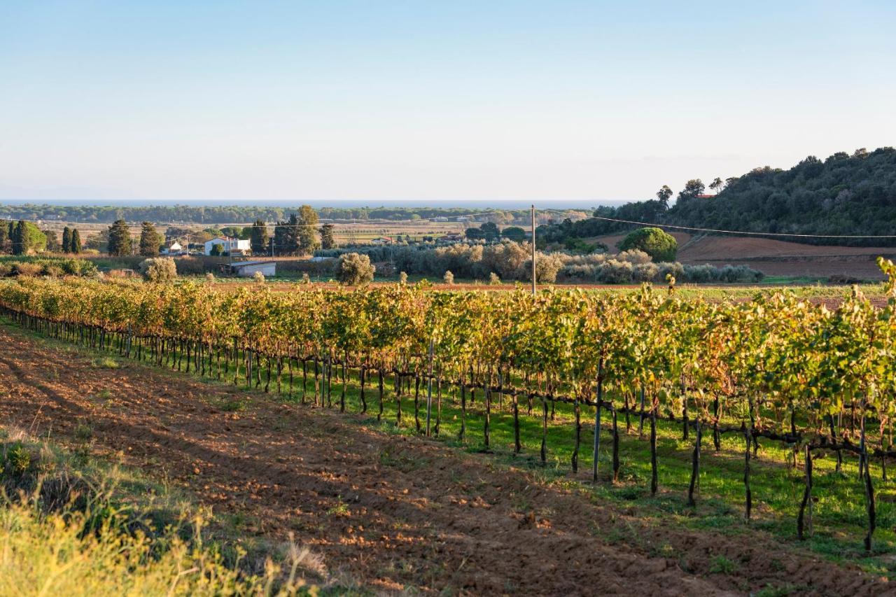 Agriturismo Terre Di Castiglione 卡斯蒂里昂纳·德拉佩 外观 照片